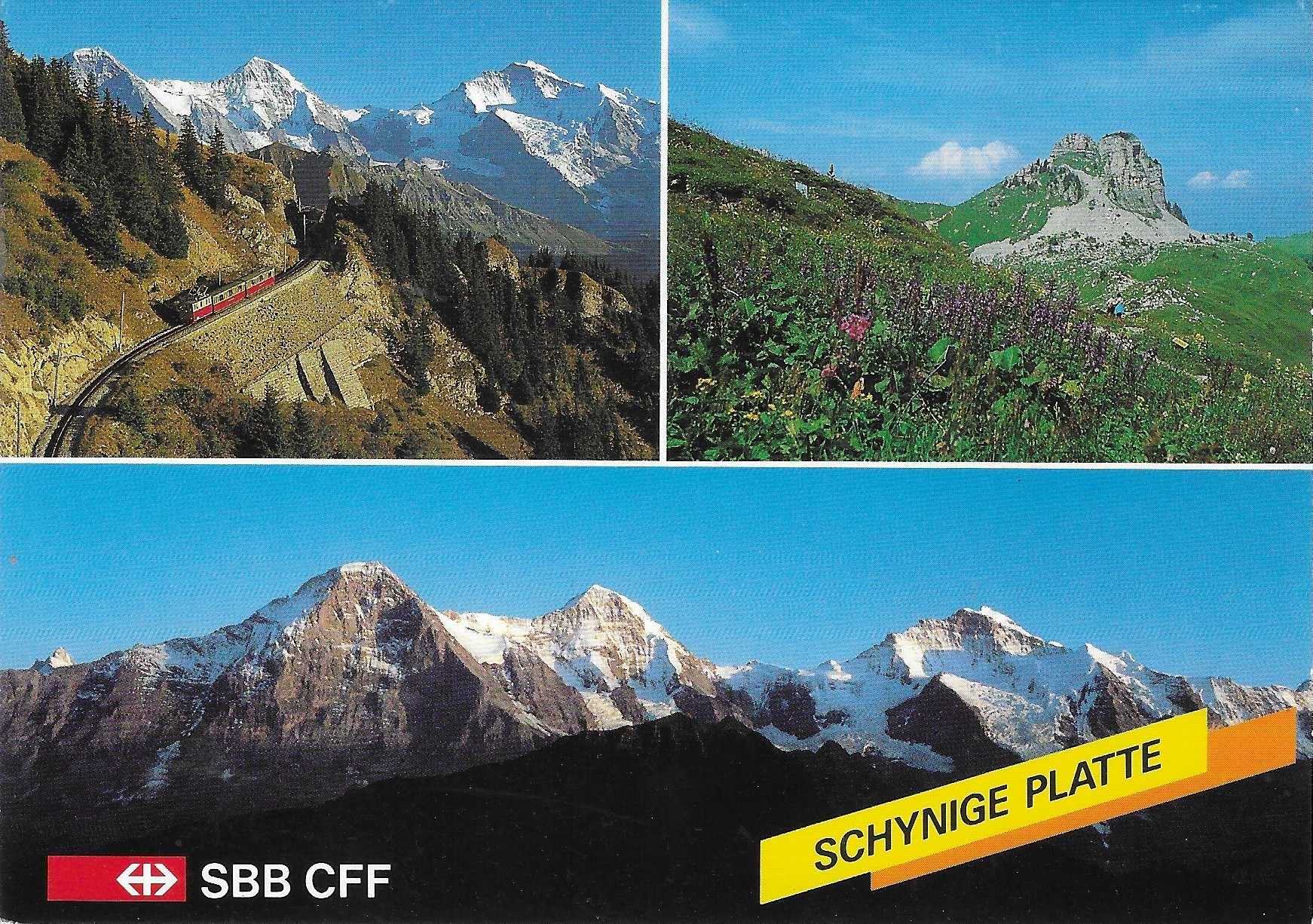 Cartoline postali: Schynige Platte BE – Nuovo (secondo la descrizione) da Rothrist venduto da Stranglehold