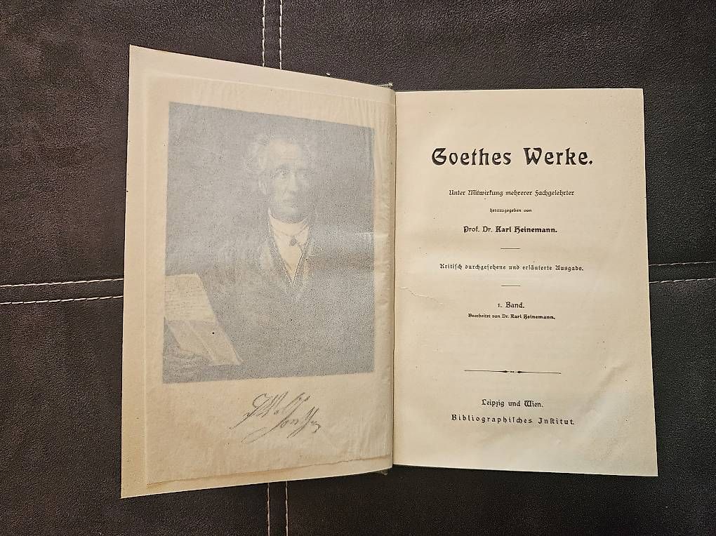 Libri: Goethes Werke - 1900 - Antiquität – Usato da Greifensee venduto da Arkon616