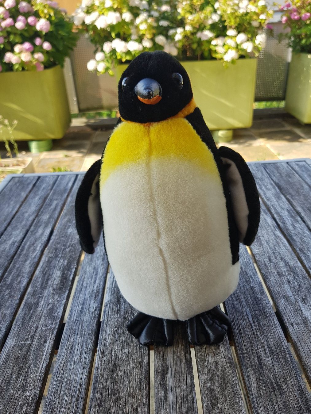 Aurora Jouets: Pinguin Plüsch – D'occasion à Jona par dampfnuggi