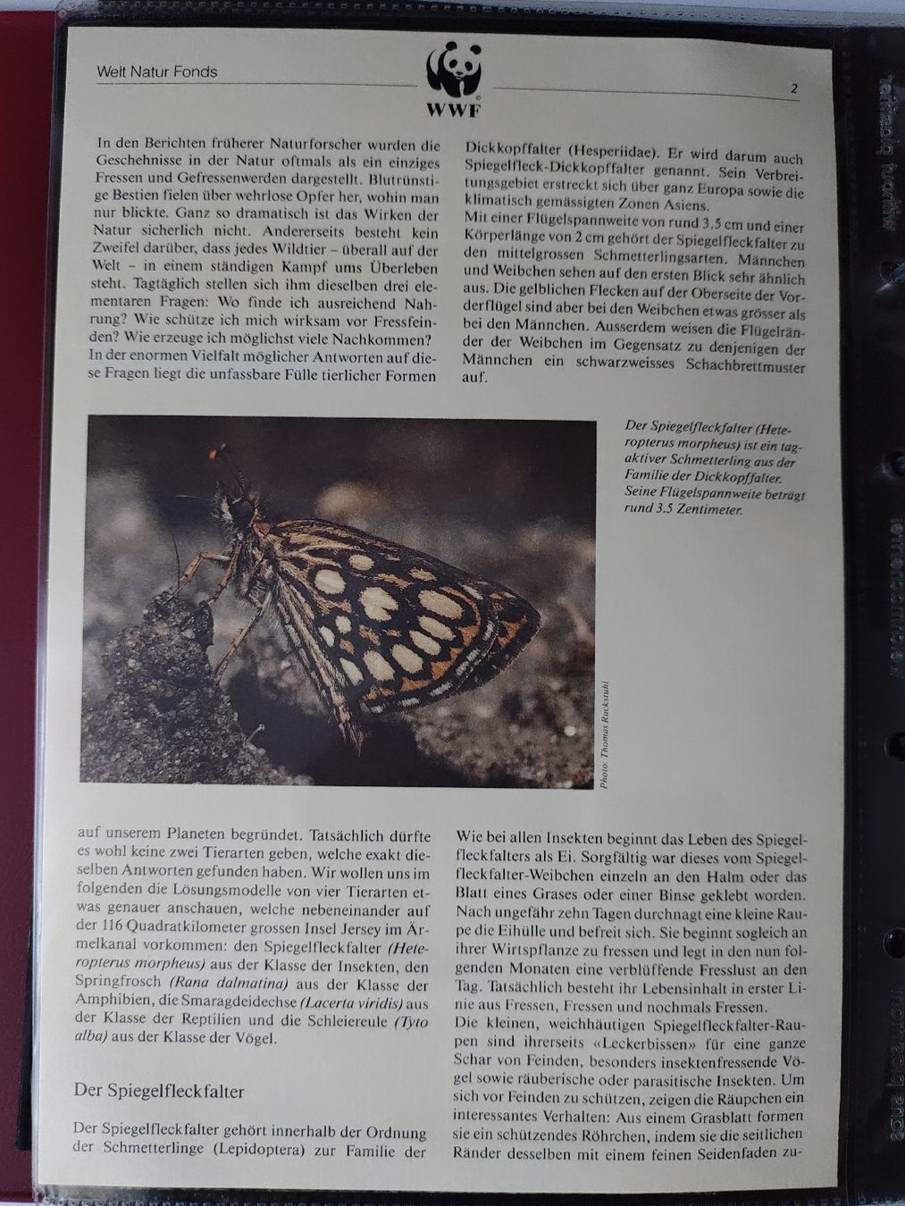 Tutti i francobolli: WWF Sammlung gefährdete Tierarten Jersey Briefmarken – Nuovo (secondo la descrizione) da Greifensee venduto da Retepw 1