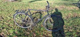 City Velo Creme mit Nexus Nabenschaltung 61cm
