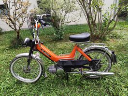 Puch Maxi N (Unfallfahrzeug)