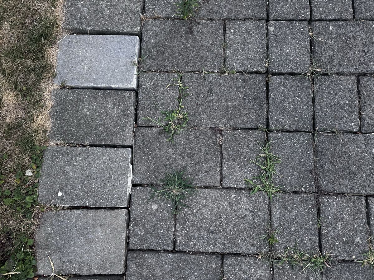 Rivestimenti per pavimenti: Verbundsteine GRATIS ca 25m2 – Usato da Starrkirch-Wil venduto da rapt0r113 1