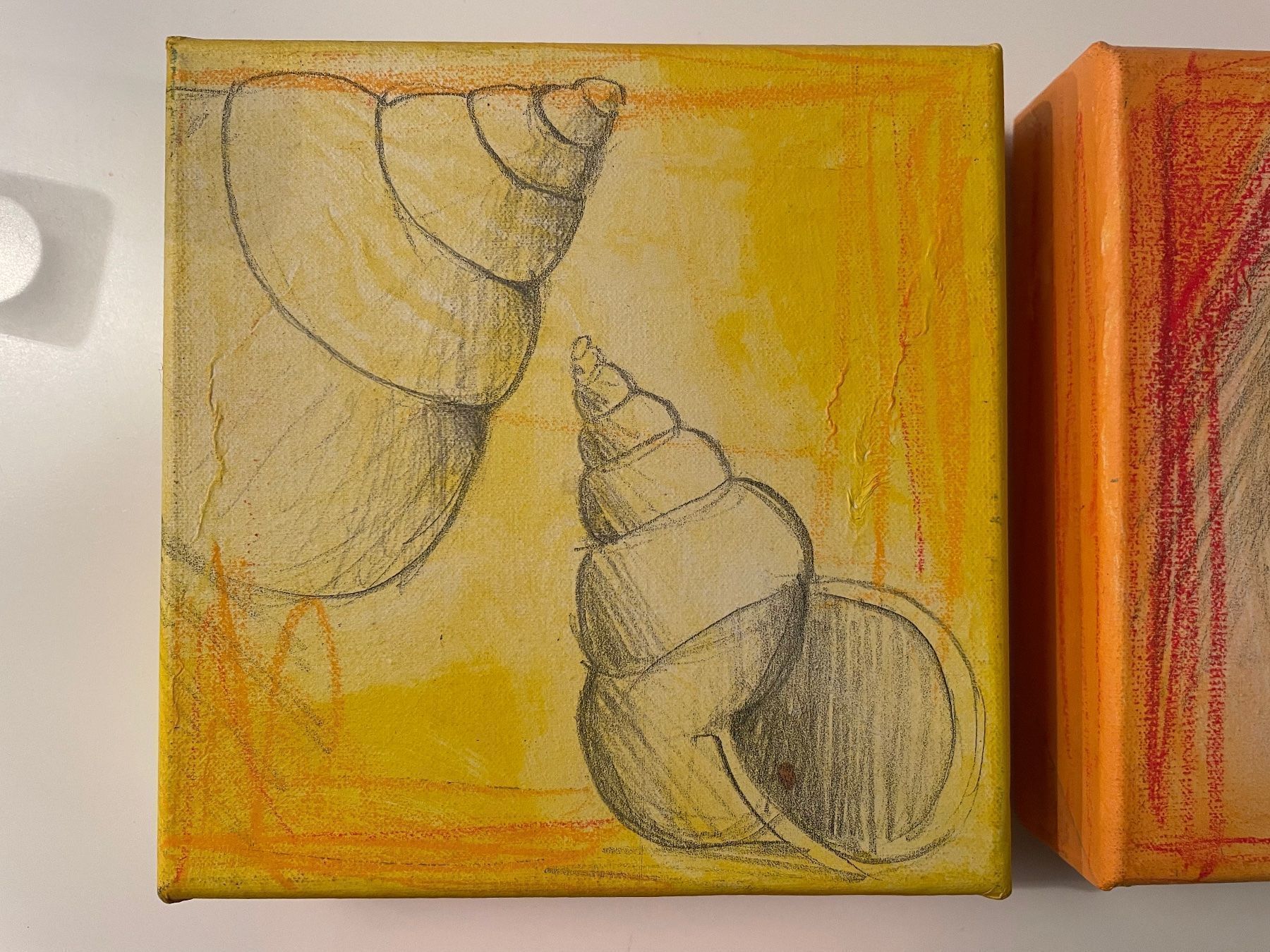 Poster & Bilder: Bilder Muschelskizzen auf Leinwand – Neu (gemäss Beschreibung) aus selzach von sanperepescador 4
