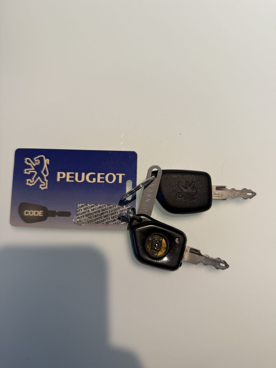 Peugeot Automobili: Peugeot 106 GTI – Usato da Rothenburg venduto da Eterno 9