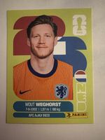 Panini NED 19