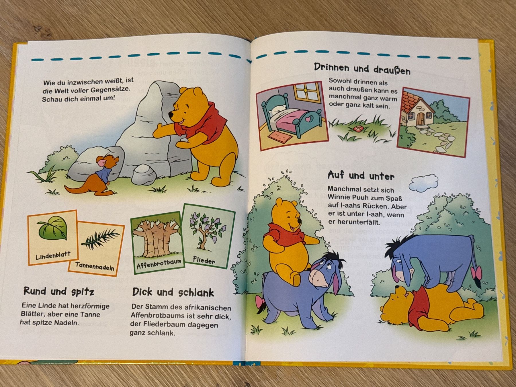 Bücher: Entdecke Gegensätze mit Winnie Puuh – Gebraucht aus Andelfingen von Judy0007 1