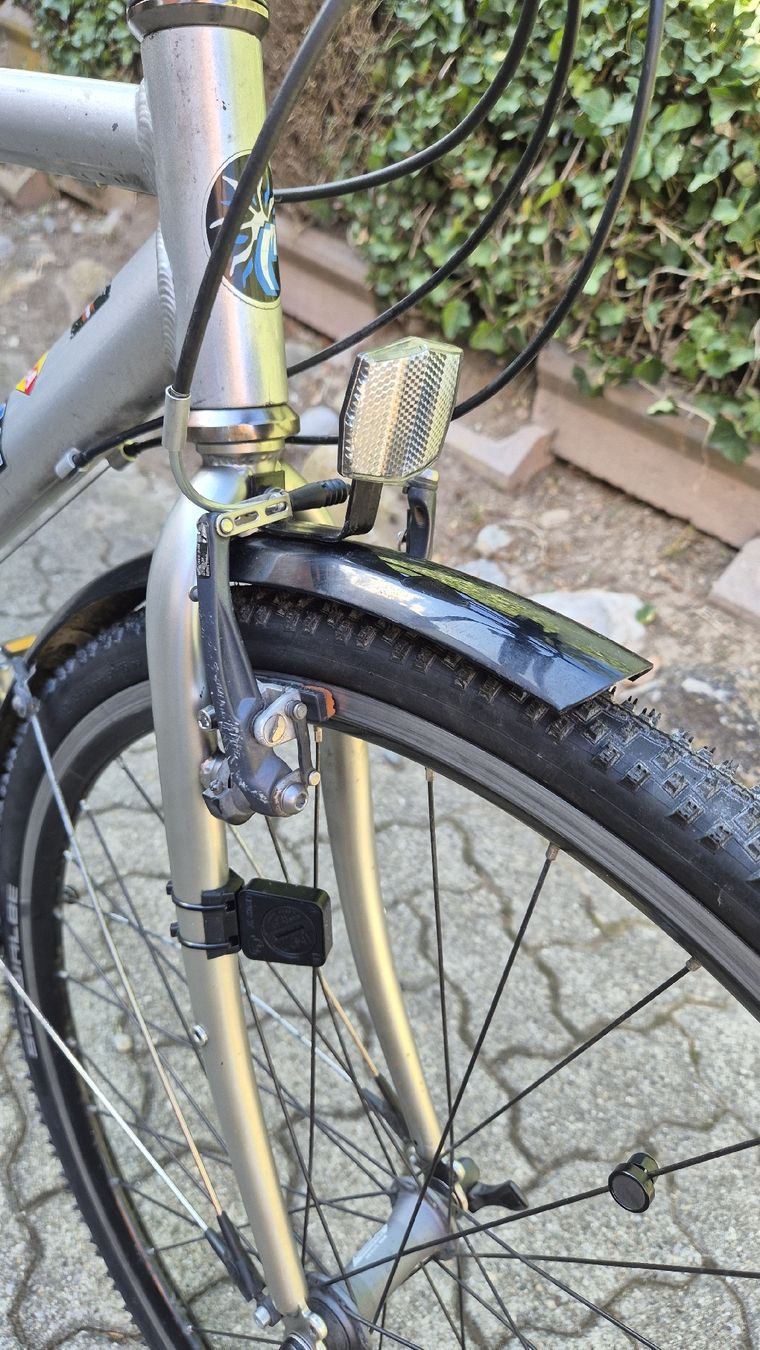 Velos: Velo ab Service – Gebraucht aus Oberhasli von Velo_Susak 3