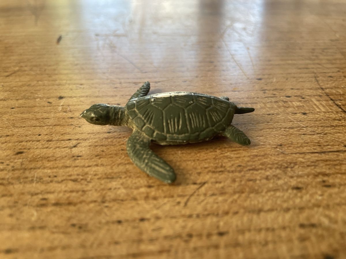 Schleich Giocattoli: Schleich Wasser Schildkröte  – Usato da Bonstetten venduto da soleillle 2