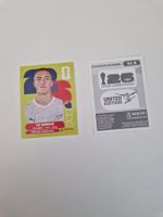 Panini Sticker NZL9