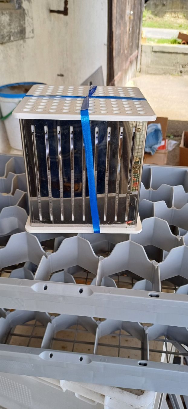Griglie: Schaschlik Spiessli Box – Nuovo (secondo la descrizione) da Wängi venduto da Koebi62 1