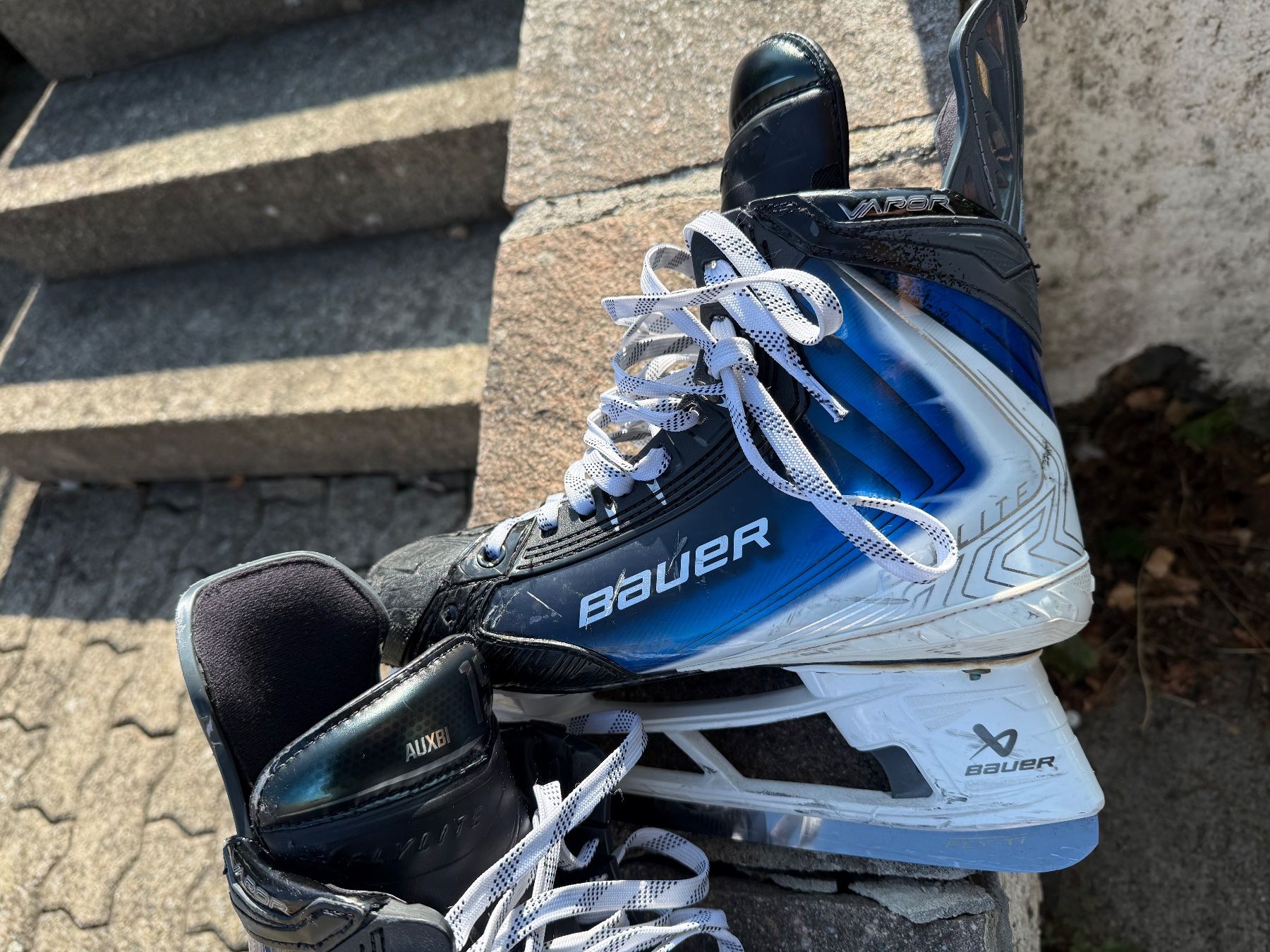 Bauer Schlittschuhe: Bauer Flylite Skates Gr. 43.5/44 – Gebraucht aus Menziken von joe_8l7n 1