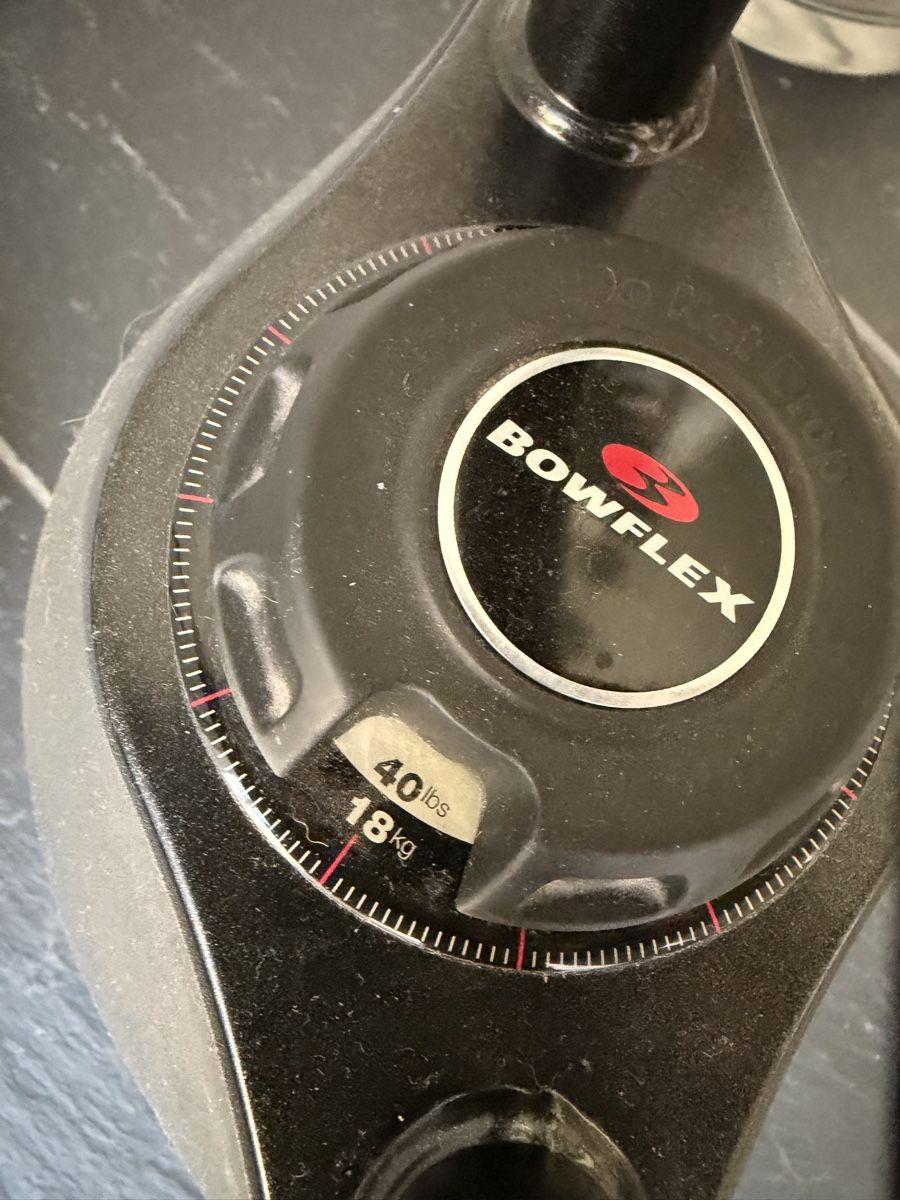 Bowflex Poids & Haltères: Bowflex SelectTech 1090i Kettlebell 18kg 40lbs gebraucht – D'occasion à Zürich par dessaster 1