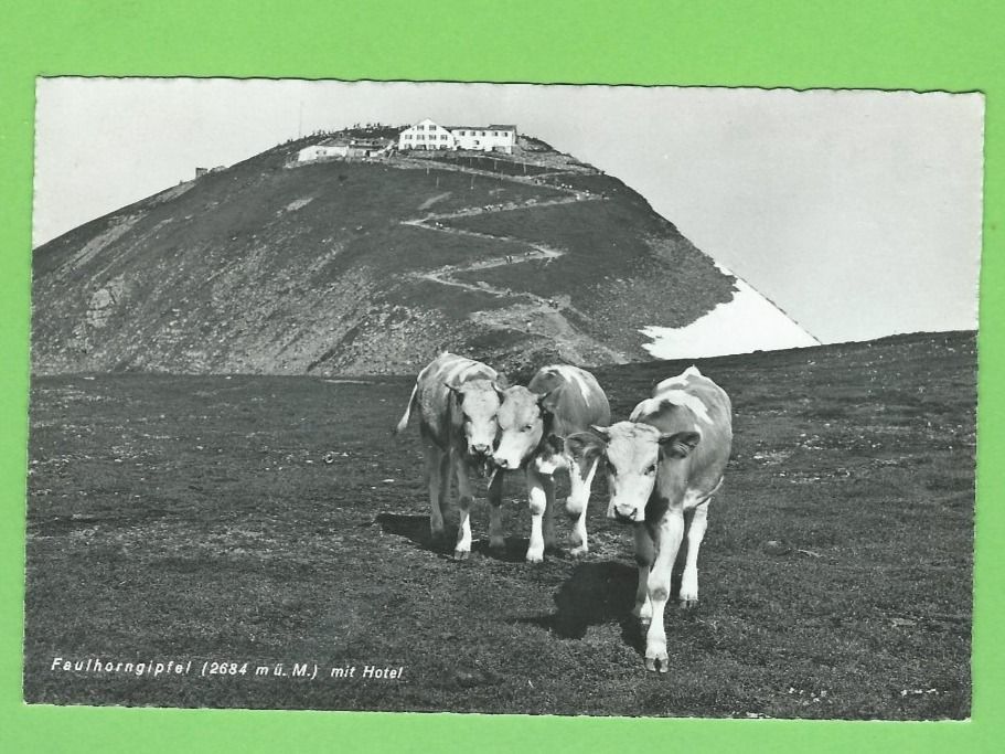 Cartoline postali: Faulhorngipfel mit Hotel – Usato da Zürich venduto da t24_de