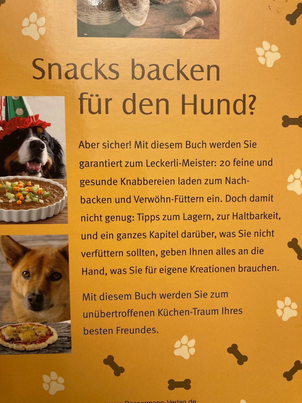 Libri: Feine Snacks für tolle Hunde – Usato da Baden venduto da Yoyo1 1