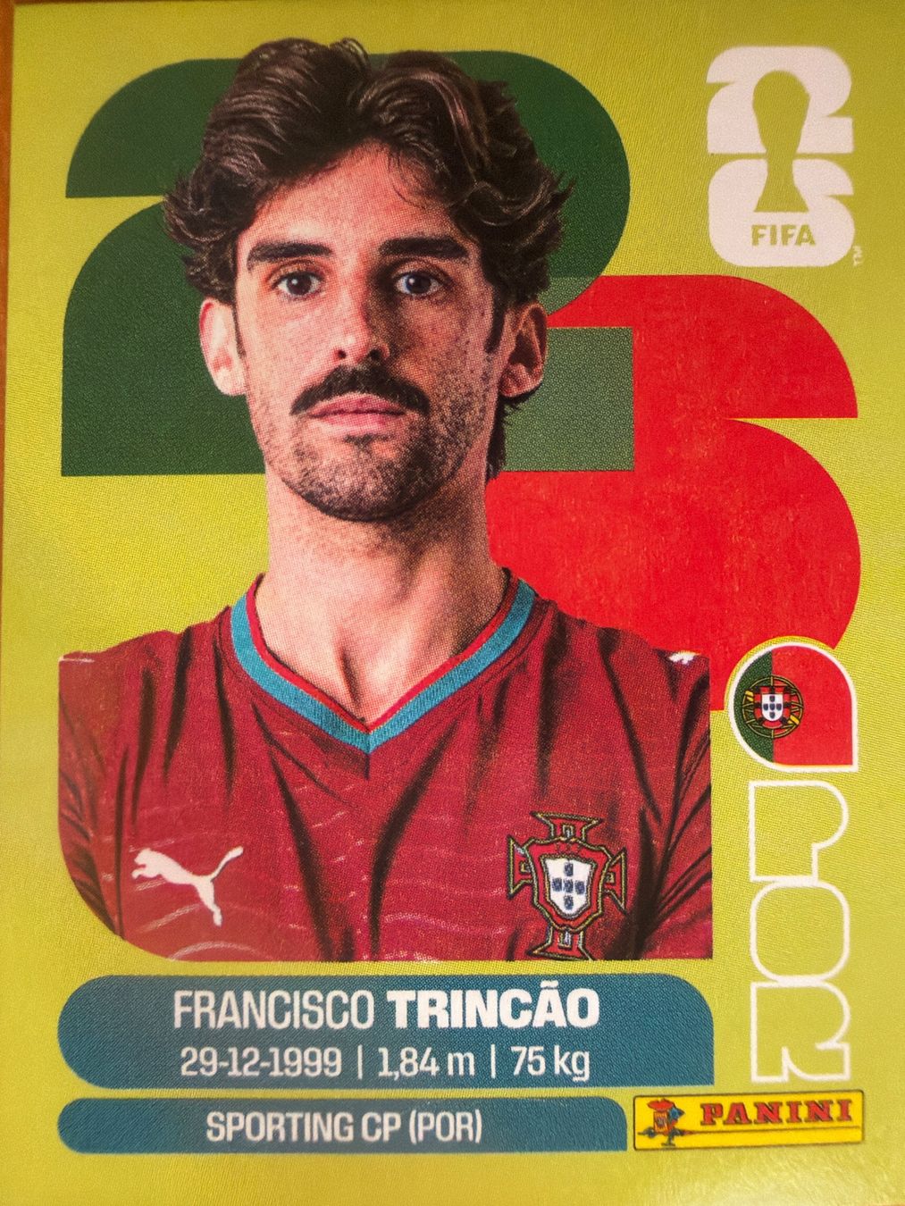 Panini Sammelbilder & Trading cards: Panini POR16 – Neu (gemäss Beschreibung) aus Susten von Rechnun
