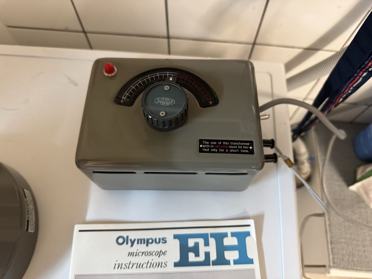Olympus Microscopi: olympus eh mikroskop – Usato da Zunzgen venduto da milesdavis76 1