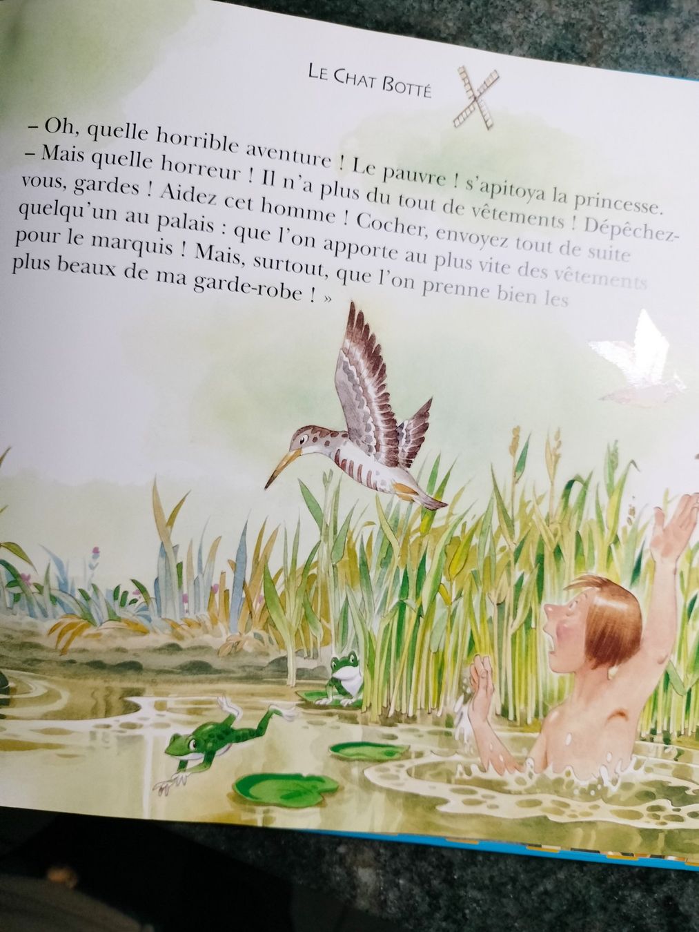 Libri: Le Chat Botté Tony Wolf, Anna Casalis – Usato da Cortaillod venduto da rozinna 9