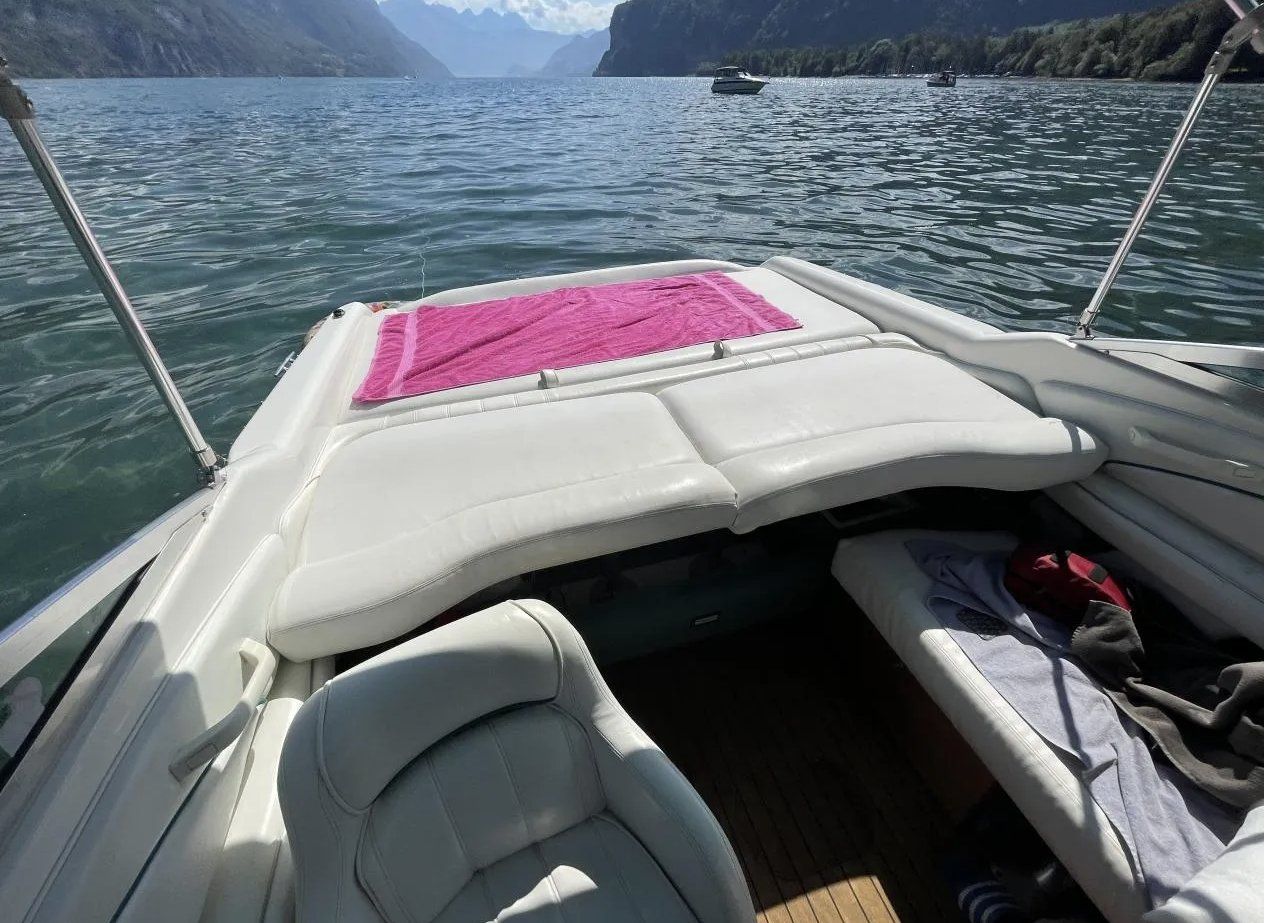 Sea Ray Boote: Sea Ray 220 OV – Gebraucht aus Benken SG von EGJ__ 8