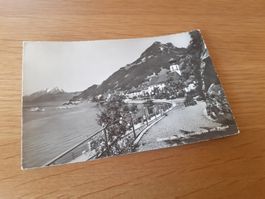 GERSAU - VIERWALDSTAETTERSEE - 1959