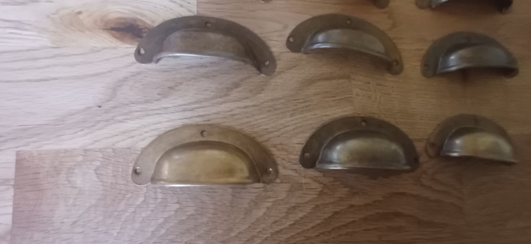 Ferramenta: 12 Muschelgriffe  Messing – Usato da Flawil venduto da Pinkmalibu 4