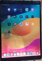 iPad Pro (10.5 Zoll, A1701) 256 GB - defekt (Wasserschaden)