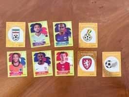 Panini stickers 2026 united edition