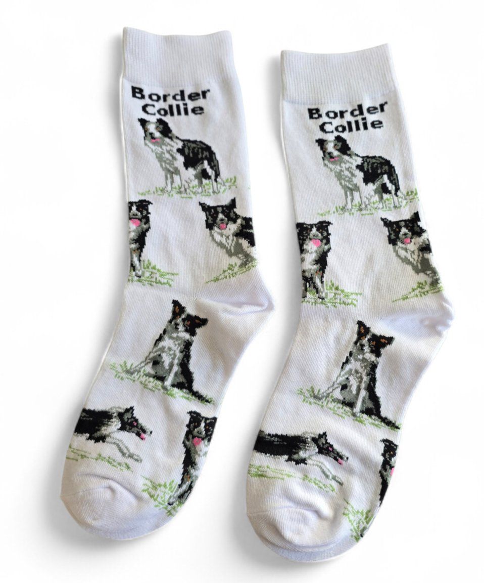 Calze: Socken Hunde/Dogs/Border Collie – Nuovo e nell'imballaggio originale da Zürich venduto da amysmith 1