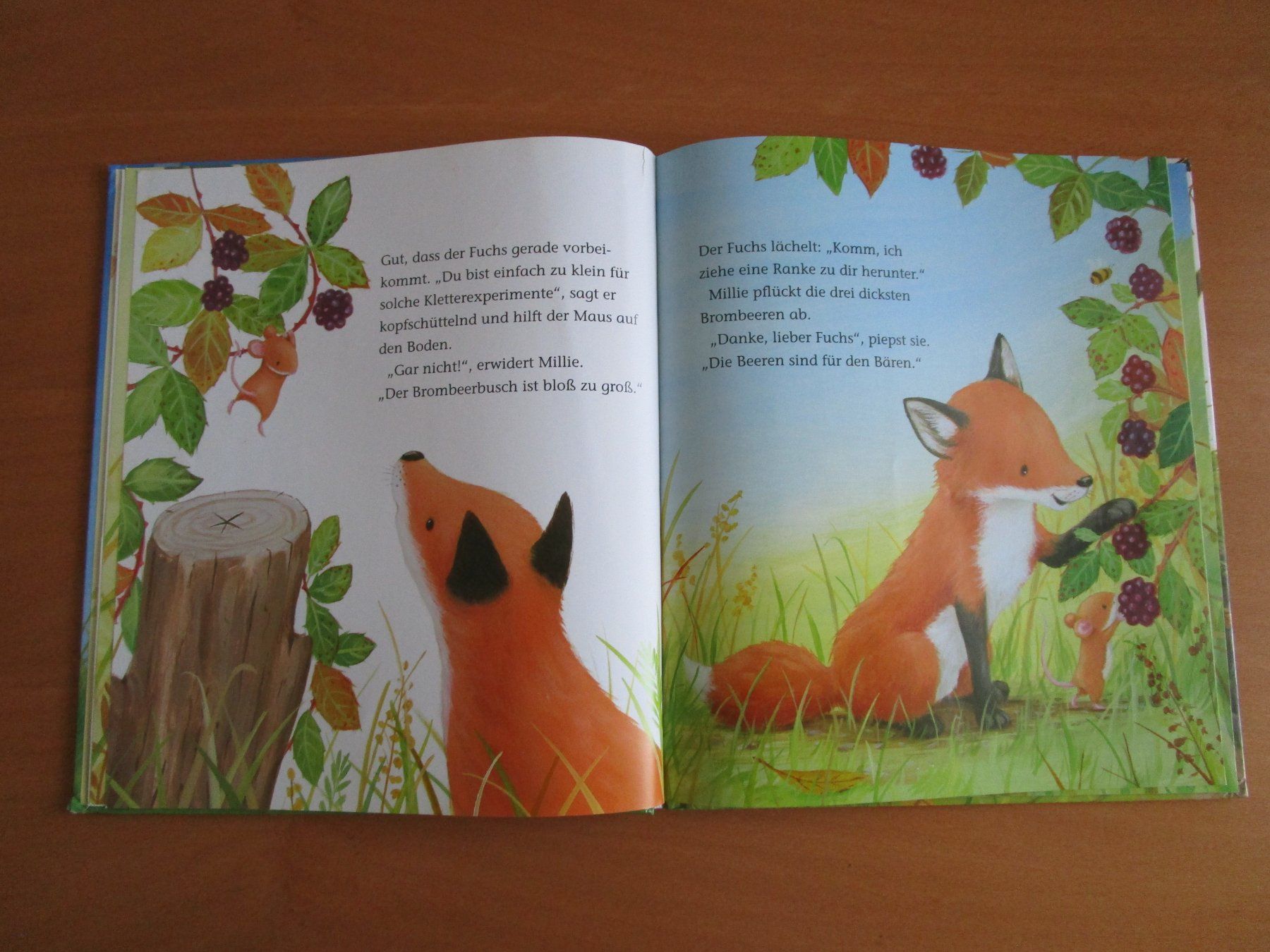 Bücher: Kinderbuch: Die kleine Maus – Gebraucht aus Langenthal von majarose 3