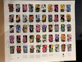 USA 1992 Bogen Wildblumen FDC