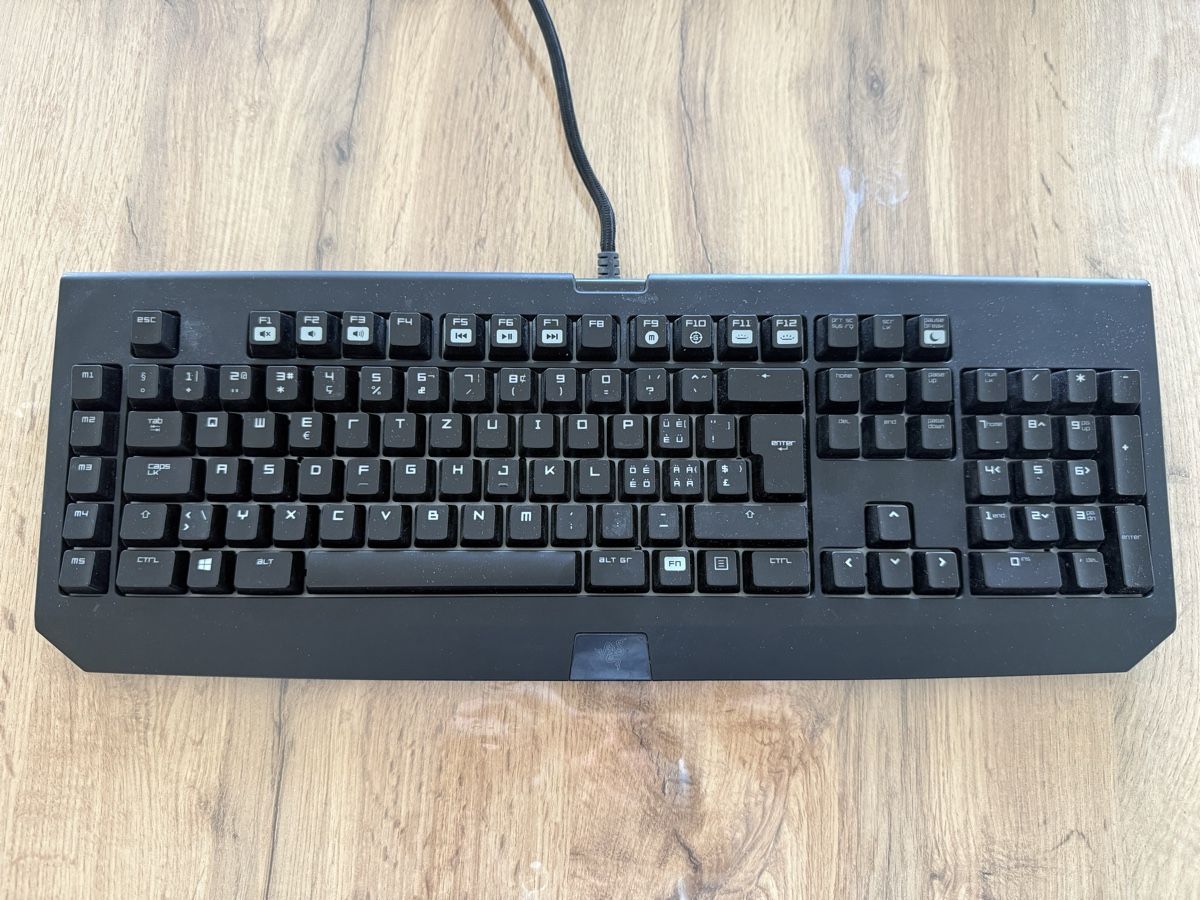 Razer Tastaturen: Razer blackwidow chroma – Gebraucht aus Lausanne von alwin43