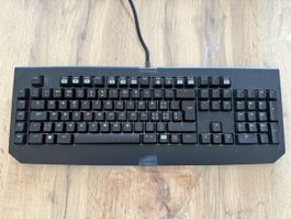 Razer blackwidow chroma