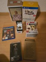 w2k19 edition collector WOOOOO! jeux PS4 Ric Flair WWE POP