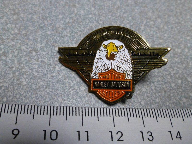 Placchette & Badge: PIN PINS HARLEY DAVIDSON HOG ABZEICHEN CHAPTER BADGE – Usato da Gränichen venduto da Jumbo77