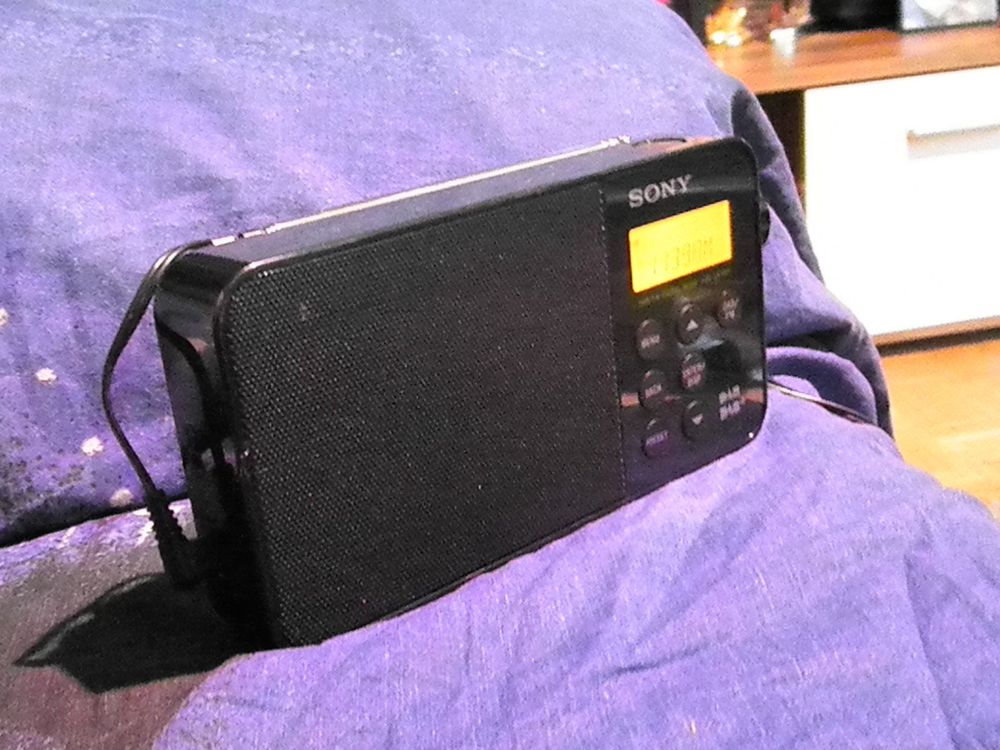 Sony DAB/FM Radio XDR-S40DBP schwarz (Gebraucht) in Biberstein für CHF