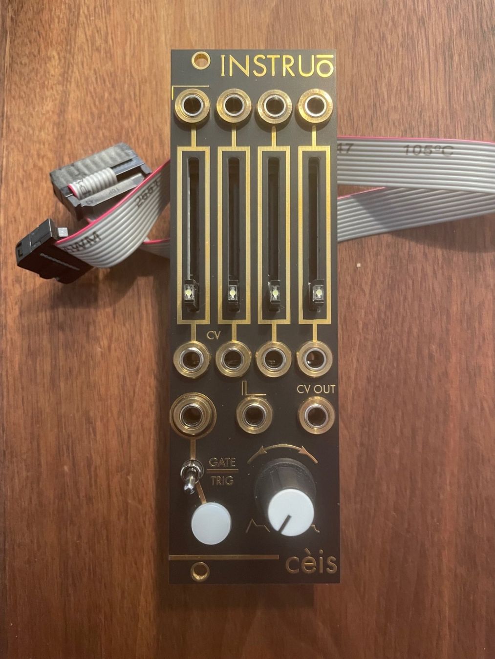 Strumenti musicali: Instruo Ceis – Usato da Niederglatt ZH venduto da Bluevortex