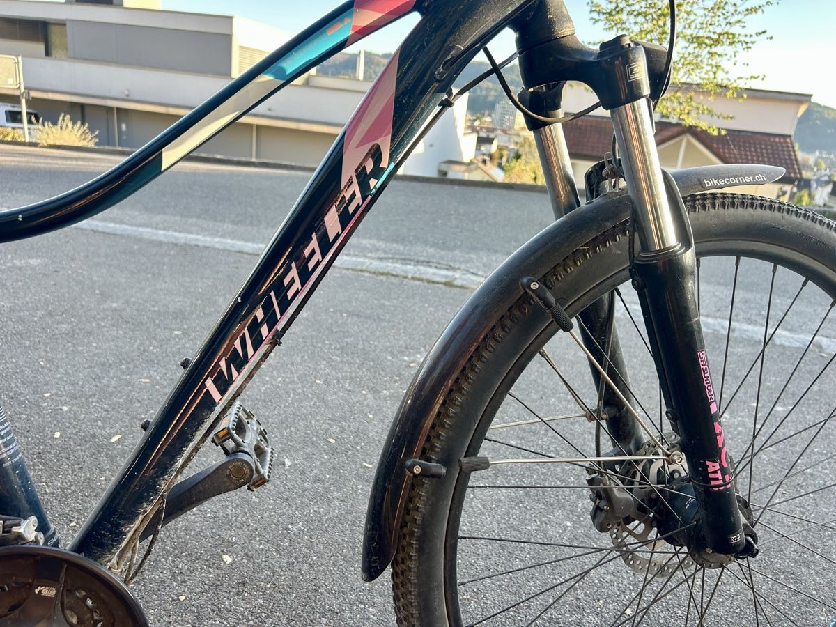 Wheeler Biciclette: Wheeler Damen Velo – Usato da Wettingen venduto da elisabetha06 1