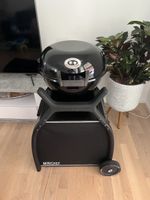 Outdoor Elektrogrill – für Ersatzteile 