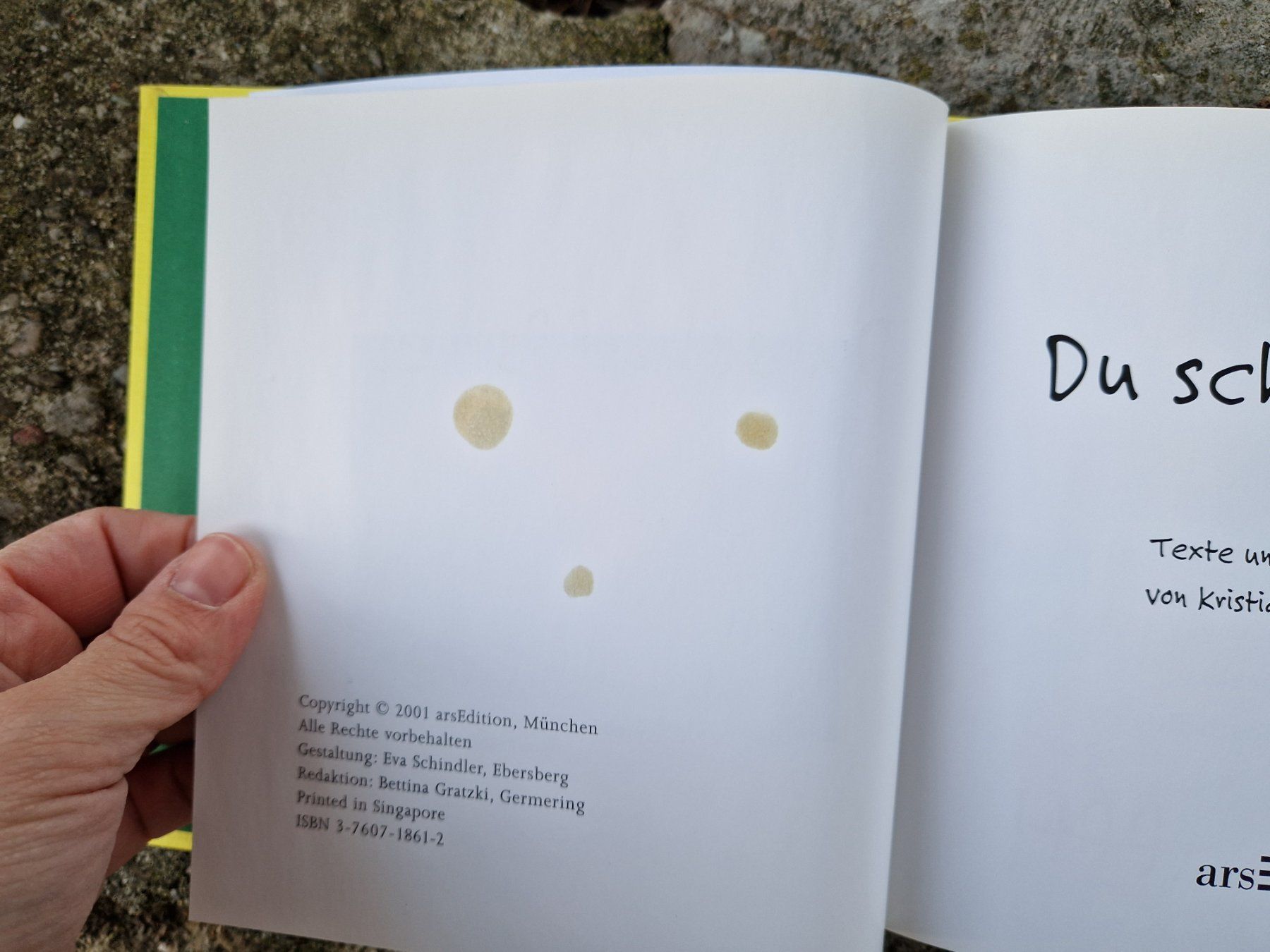 Libri: Buch/Geschenkbuch - Du schaffst es – Usato da Siblingen venduto da Vany_McDougall 6