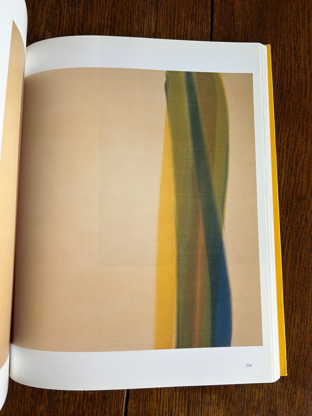 Libri: Claude Monet und die Moderne – Usato da Basel venduto da Peter_schlemihl 7