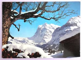 Grindelwald mit Wetterhorn (Berner Oberland)