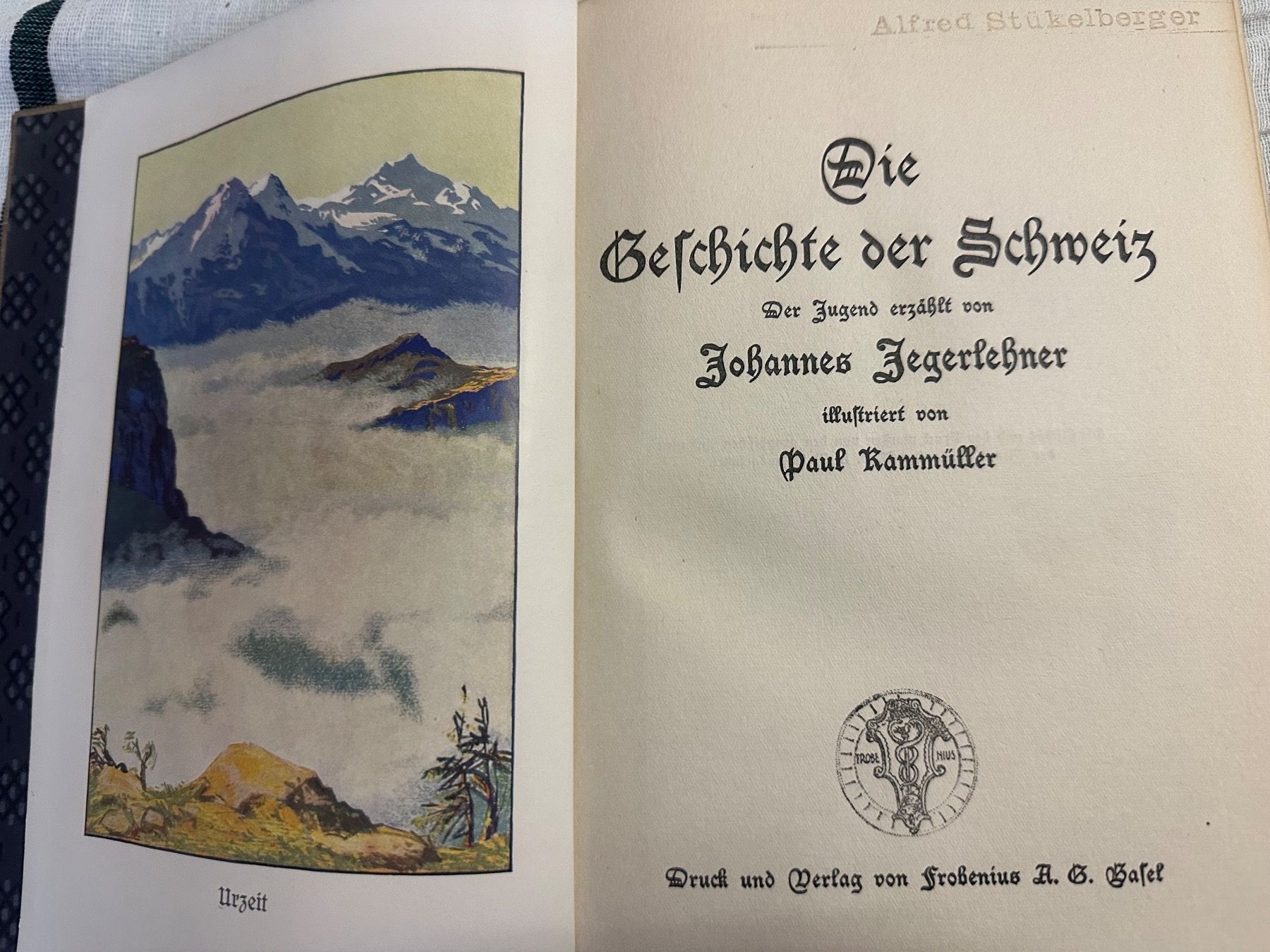 Libri: Antikes Buch: die Geschichte der Schweiz – Usato da Frauenfeld venduto da aluma14 1