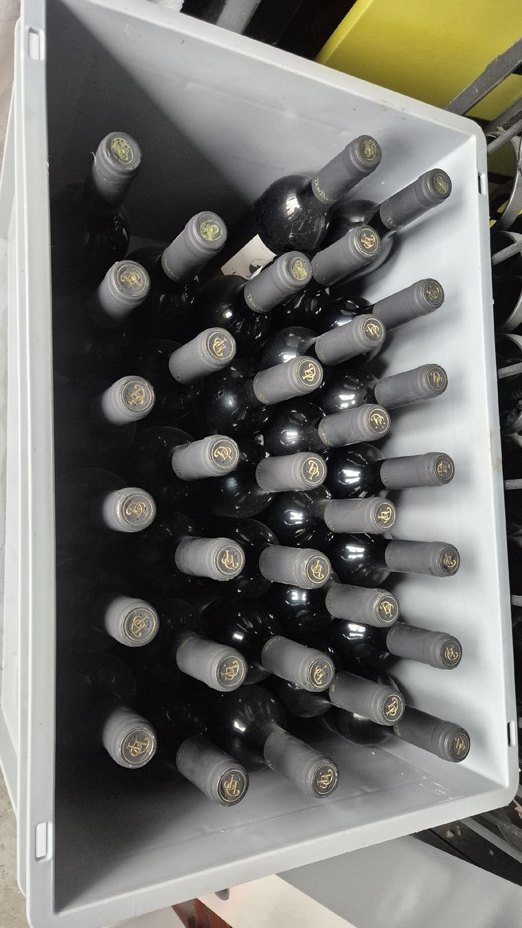 Vino: Rote Wein Don Pascuale ca100 Flache – Usato da Rämismühle venduto da beni0010 3