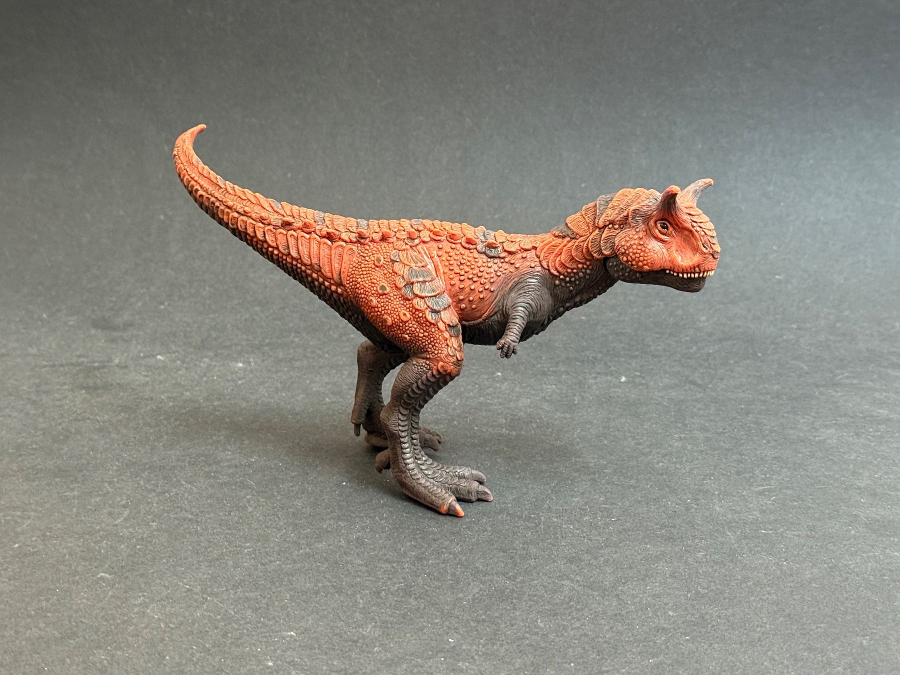 Schleich Statuette: Schleich 14586 Carnotaurus Dino Dinosaurier – Usato da Ennetbaden venduto da mapa05