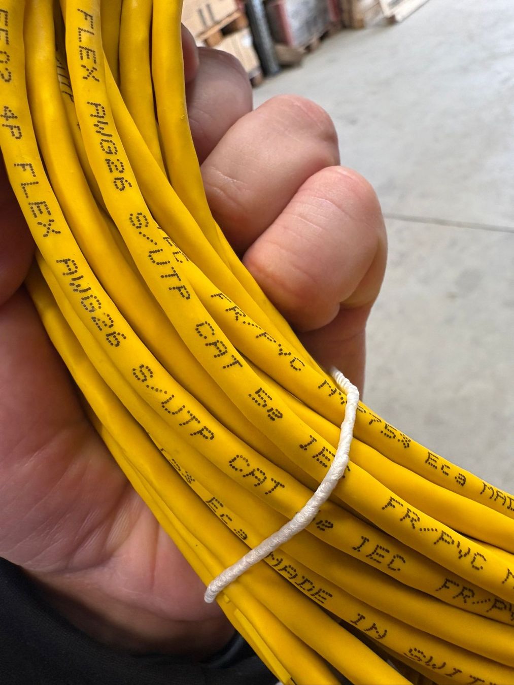 Cavi: Ethernet Kabel Cat.5e / 3 Meter – Nuovo (secondo la descrizione) da Sursee venduto da Network_41AG 1