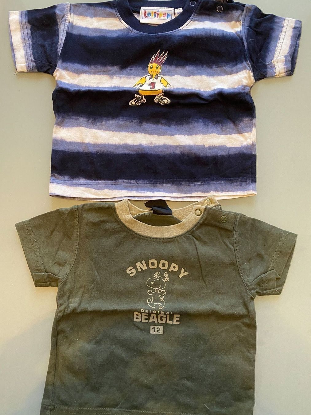 H&M Camicie, Top & T-shirt: Lot 8 t-shirt garçon T.68 – Usato da Le Brassus venduto da lionete02 4