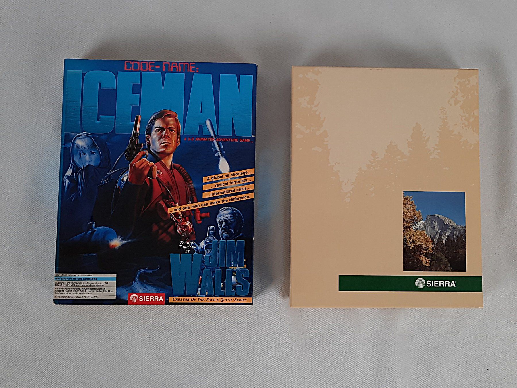 Giochi: CODENAME: ICEMAN-Sierra Big Box 13 Disketten – Usato da Beinwil am See venduto da Restwert_Beinwil 2