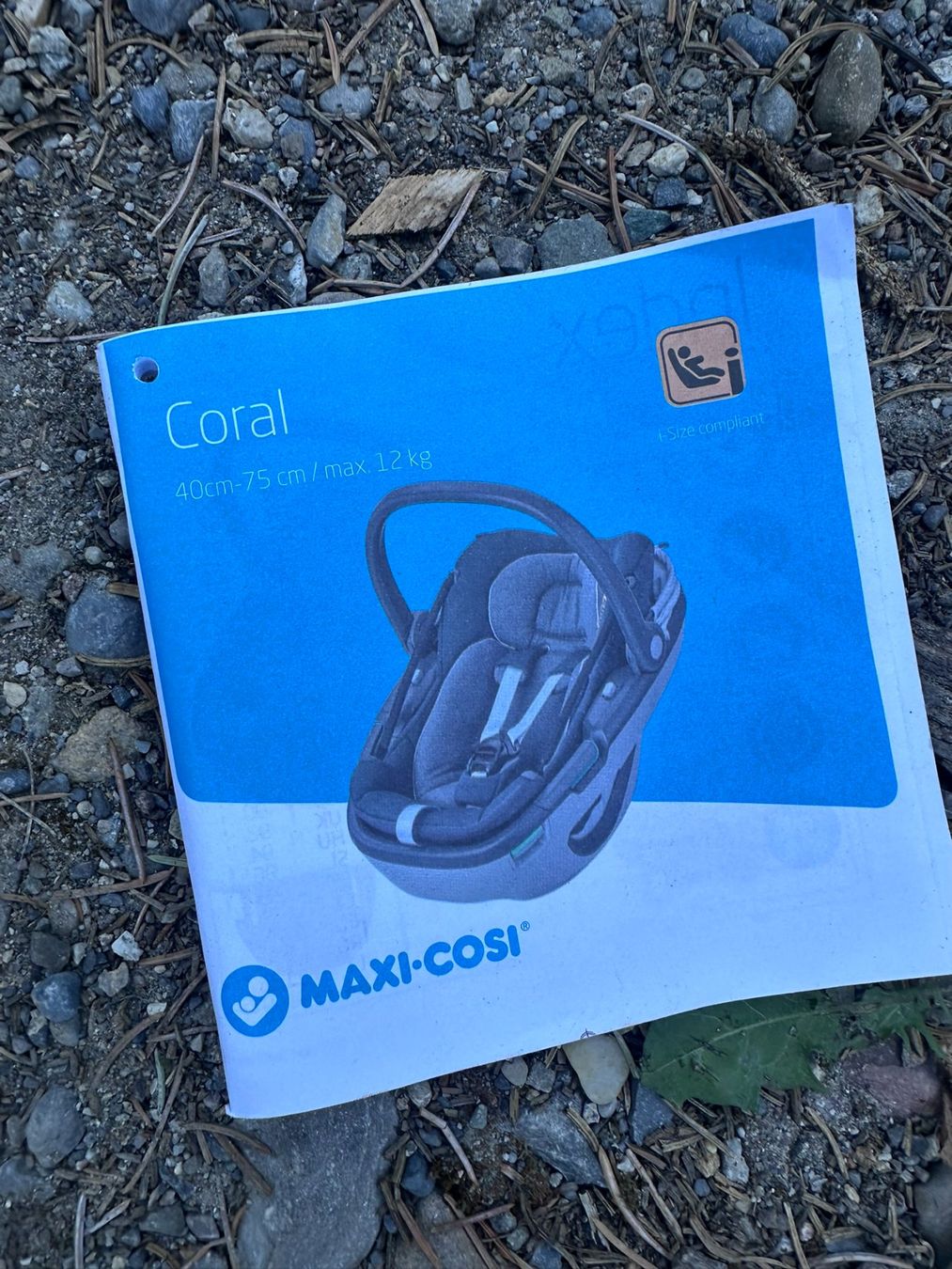 Maxi-Cosi Seggiolini per auto: Maxi Cosi Coral – Usato da Dübendorf venduto da N300zx 1