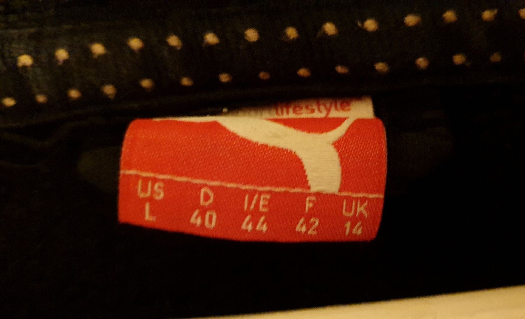Puma Giacche: Kapuzenjacke Puma – Usato da Zürich venduto da ptanyela 2