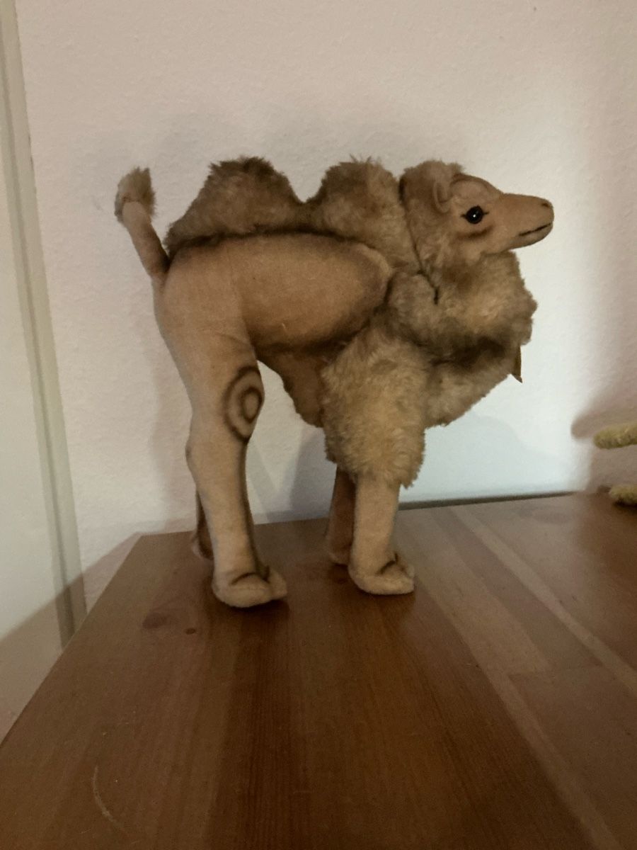 Steiff Giocattoli: Steiff Cosy Kamel Nr 4890/28 – Usato da Basel venduto da Ajscha7o1 3